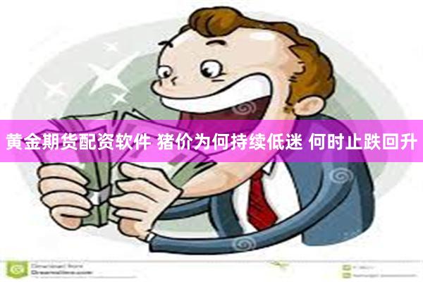 黄金期货配资软件 猪价为何持续低迷 何时止跌回升