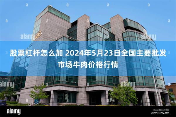 股票杠杆怎么加 2024年5月23日全国主要批发市场牛肉价格行情