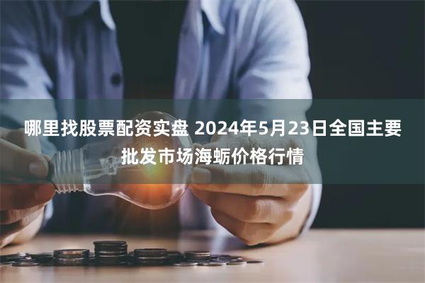 哪里找股票配资实盘 2024年5月23日全国主要批发市场海蛎价格行情