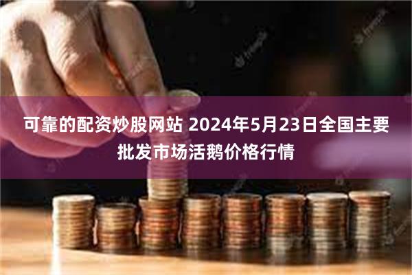 可靠的配资炒股网站 2024年5月23日全国主要批发市场活鹅价格行情