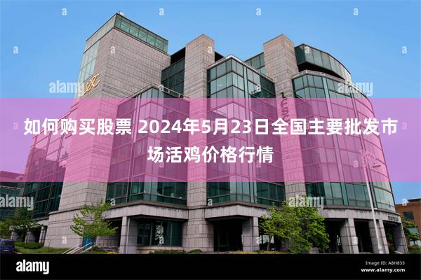 如何购买股票 2024年5月23日全国主要批发市场活鸡价格行情