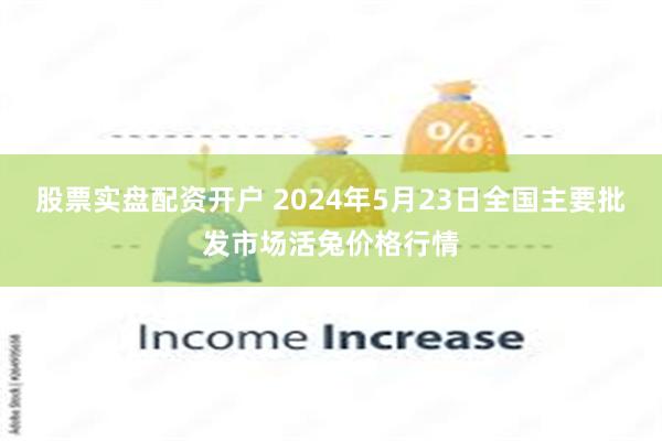 股票实盘配资开户 2024年5月23日全国主要批发市场活兔价格行情