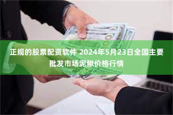 正规的股票配资软件 2024年5月23日全国主要批发市场泥鳅价格行情