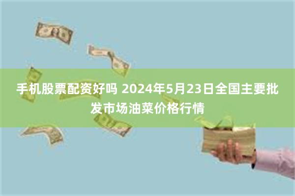 手机股票配资好吗 2024年5月23日全国主要批发市场油菜价格行情