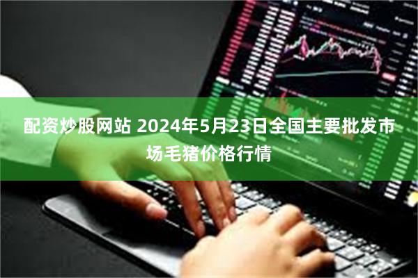 配资炒股网站 2024年5月23日全国主要批发市场毛猪价格行情