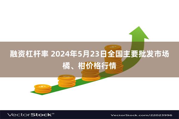 融资杠杆率 2024年5月23日全国主要批发市场橘、柑价格行情