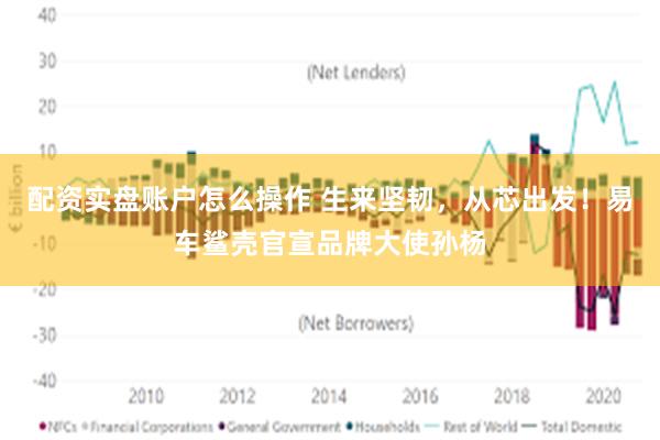 配资实盘账户怎么操作 生来坚韧，从芯出发！易车鲨壳官宣品牌大使孙杨