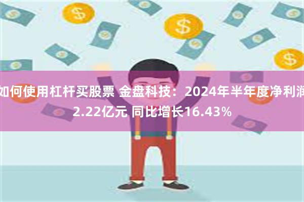 如何使用杠杆买股票 金盘科技：2024年半年度净利润2.22亿元 同比增长16.43%