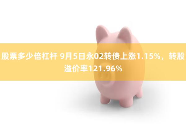 股票多少倍杠杆 9月5日永02转债上涨1.15%，转股溢价率121.96%