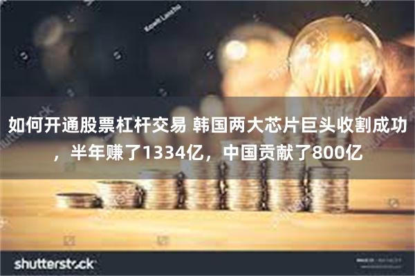 如何开通股票杠杆交易 韩国两大芯片巨头收割成功，半年赚了1334亿，中国贡献了800亿